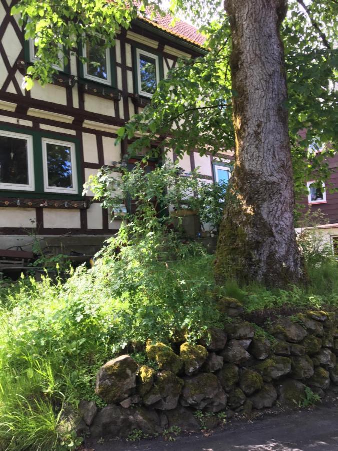 Villa Blockhaus Harzblick Braunlage Exterior foto