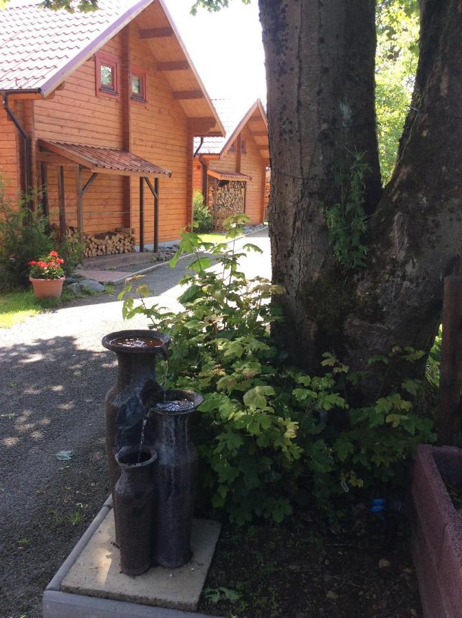 Villa Blockhaus Harzblick Braunlage Exterior foto